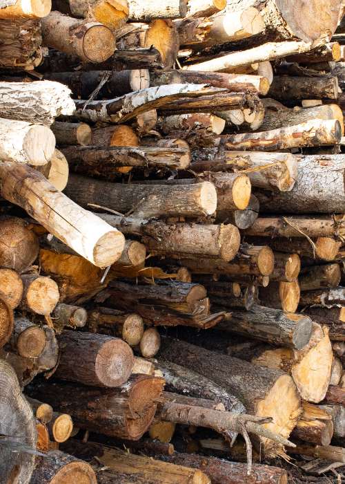 venta-de-lena-para-biomasa